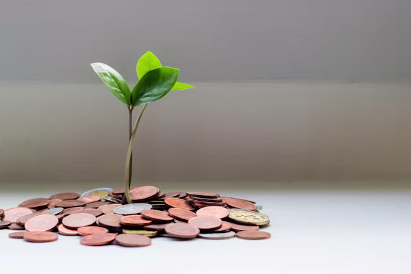 Financial preparedness guide